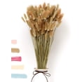 thumbnail image 1 of LUJO BLANCO - Lagurus como flores secas que atraen todas las miradas - decoración de flores secas para siempre duradera hierba de pampa y flores secas hierba de pampa decoración de hierba de pampa seca ramo de flores secas decoración de jarrón (naturaleza) Zhivalor WL-00485, 1 of 6