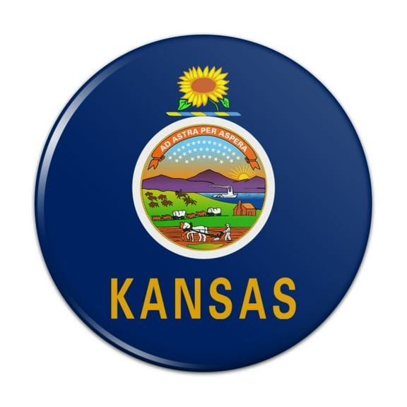 Kansas State Flag Pinback Button Pin