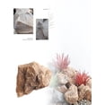 thumbnail image 3 of Rocks for Landscaping - Realistic PU Foam Stones, Lightweight & Weatherproof, Yard Decor for Gardens/Lawns,Brownï¼Bï¼, 3 of 5
