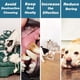 thumbnail image 3 of Juguetes de peluche para perros, interactivos con papel arrugado, duraderos y chirriantes, para cachorros, perros pequeños y medianos, adorables., 3 of 7