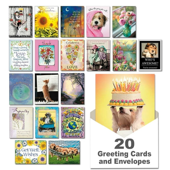 Leanin' Tree, Best Wishes, 20 All Occasion Cards Assortment Box with Envelopes, Greeting Cards Assortment Box, Perfect for Birthdays, Thinking of You, Encouragement, Sympathy and more