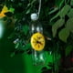 thumbnail image 5 of para avispas con piezas: avispas, para abejas, no tóxica, , segura y limpia. No se necesit Gloria trampas de avispones, 5 of 9