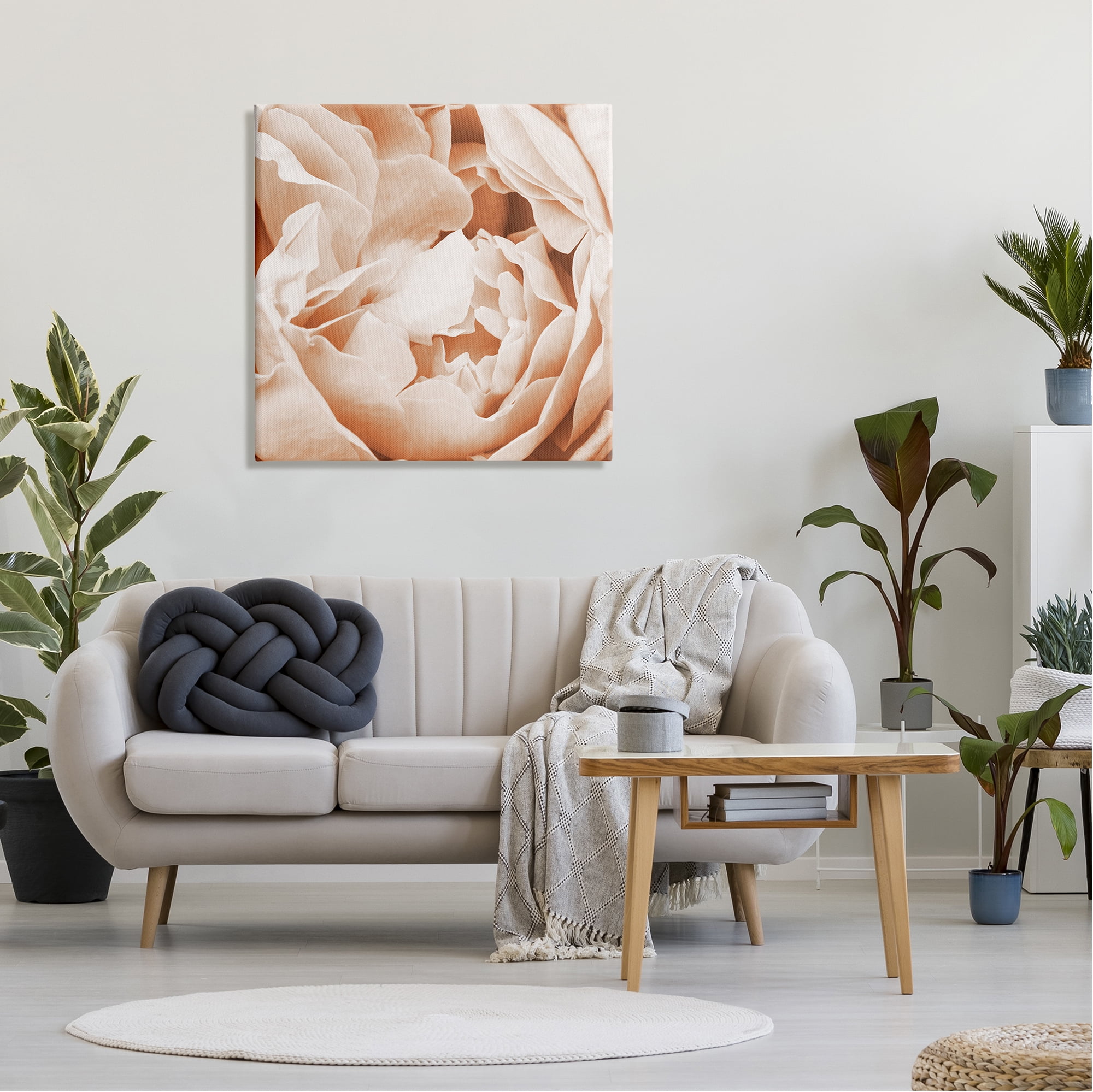 Stupell Industries Pastel Pink Peony Petals Botanical & Floral Photography Gallery Wrapped Canvas Print Wall Art, 30 x 30