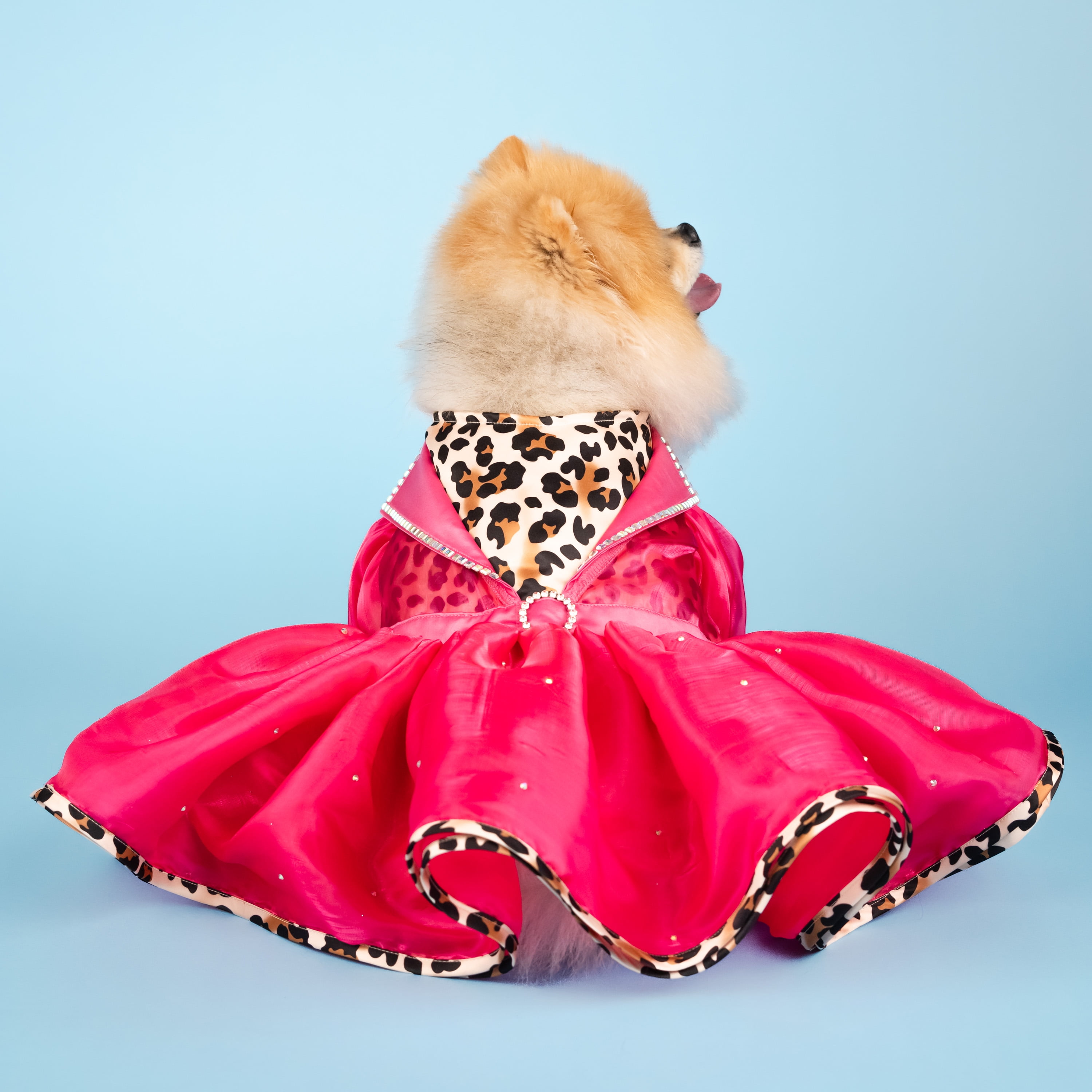 Doggy Parton, Dog and Cat Clothes, Leopard Notched Collar Pet Dress, Pink, XS