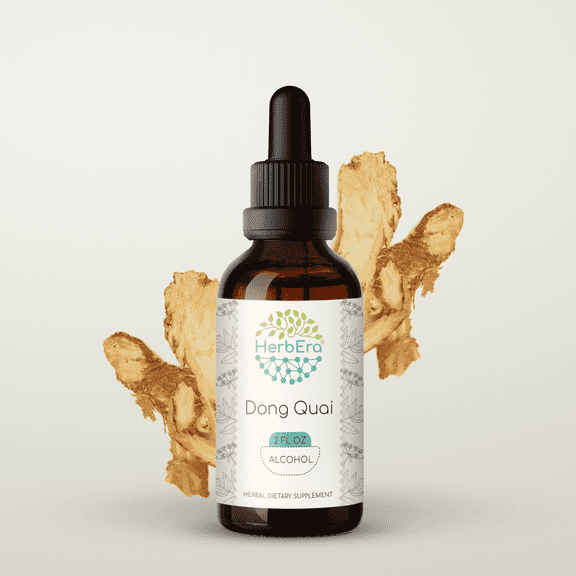 HerbEra Dong Quai Tincture, Herbal Dietary Supplement for Hormonal Balance Support, Dong quai (Angelica sinensis) Dried Root Extract, Natural, Alcohol Tincture, Drops 2 oz