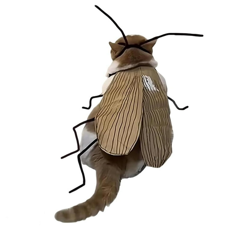 Cat Cockroach Clothing DIY Kit, Funny Kitten Cape Craft Set, Kitten Costume Accessories with Roach Wings and Antenna, Cosplay Halloween Party Decoration for Cat and Small Dog (1 Set)
