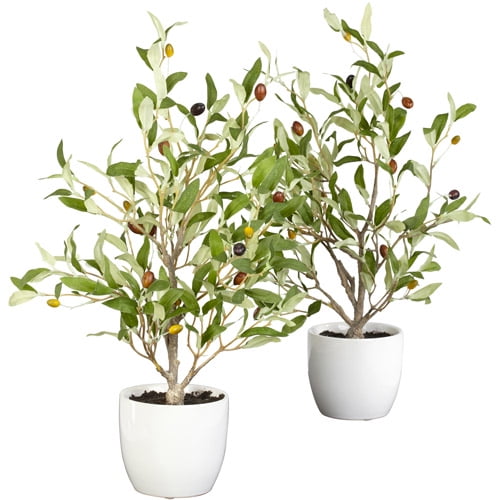 18" Olive Silk Tree with Vase, Green, 2pc