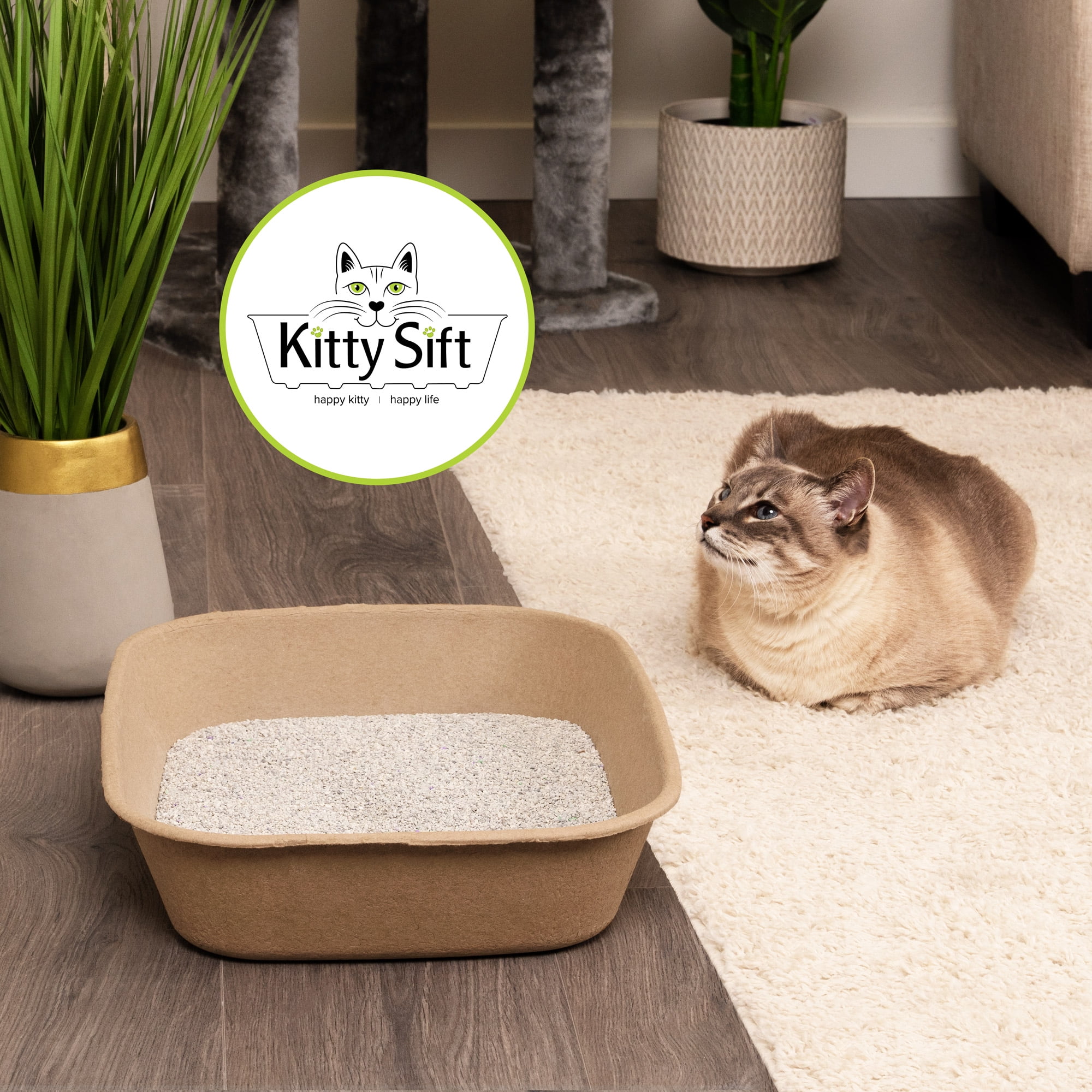 Walmart disposable cat litter box cheap
