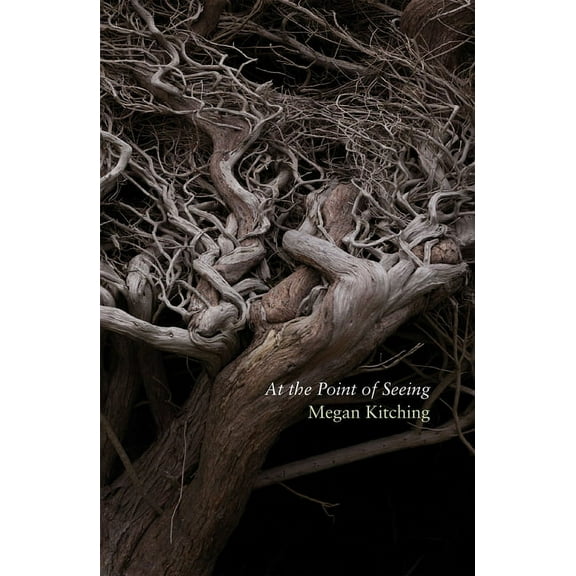 At the Point of Seeing (Paperback)