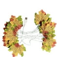 thumbnail image 2 of AuroraX USB-Charing Garlands Fall Lighted Maple Leaves String Lights Patio Lights Indoor Outdoor Lights Yard Thanksgiving Patio Decor, 2 of 9
