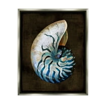 Stupell Industries Dark Nautilus Shell Nature Painting Gray Floater Framed Canvas Art Print Wall Art, 25 x 31