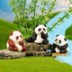 thumbnail image 5 of Mini Panda De Madera Brasileña Estatua De Panda De Resina De Árbol Brasileño Para Decoración Hidropónica De Panda De Madera Brasileña Divertido Escritorio De Mesa Para Interiores O, 5 of 8
