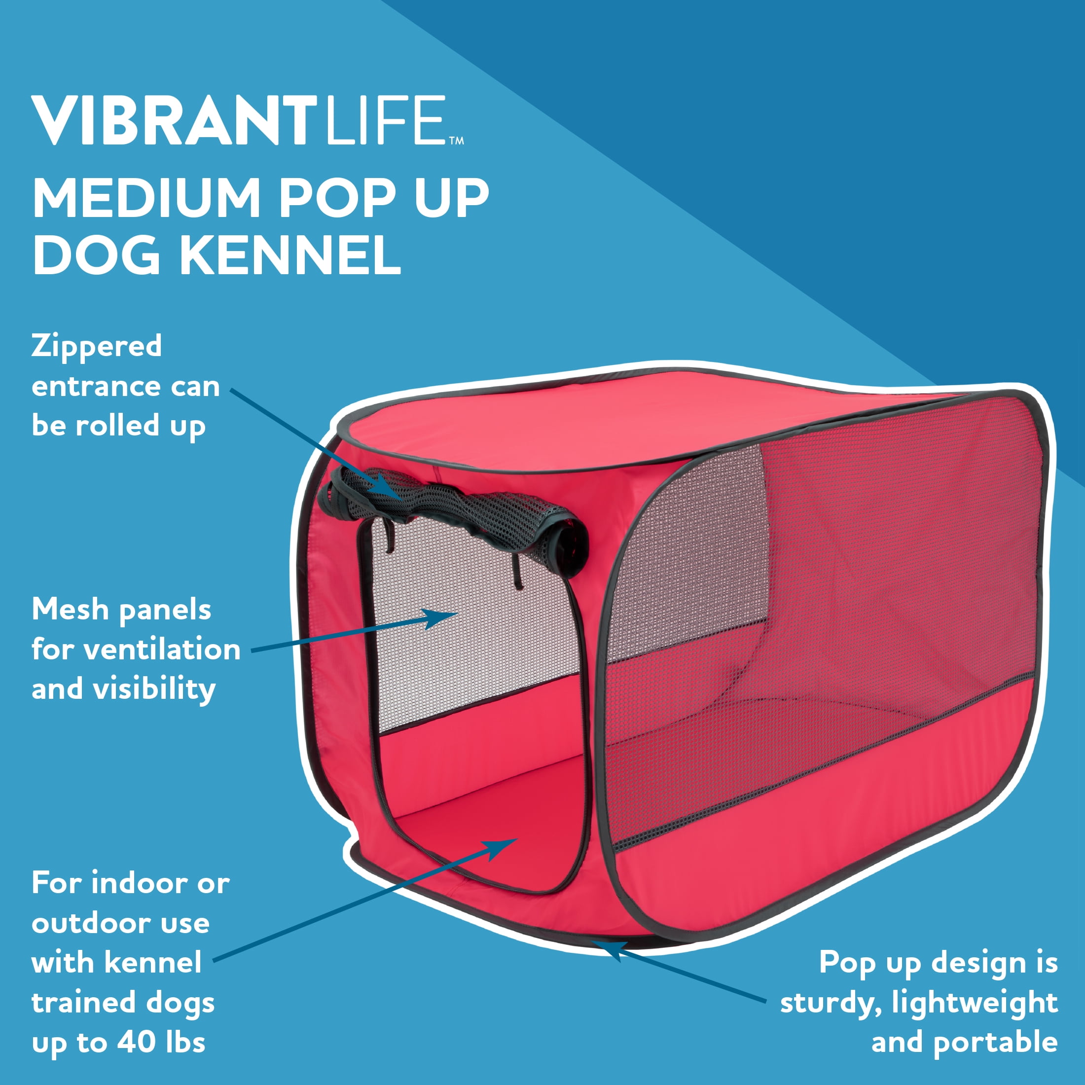 Vibrant Life Pet Kennel for Dogs, Hard-Sided Pet Carrier, Extra Small, 23in Length