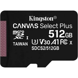 Samsung EVO Plus 512 GB, Class 10/UHS-I (U3) V30 microSDXC