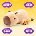 thumbnail image 2 of Hug a Lumps Connie the Capybara by ZURU - Medium 3.3lbs Cuddly Weighted Plush Toy for All Ages, 2 of 9