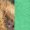 Heather Irish Green, variant on Mis·cel·la·ne·ous Rainy Girl