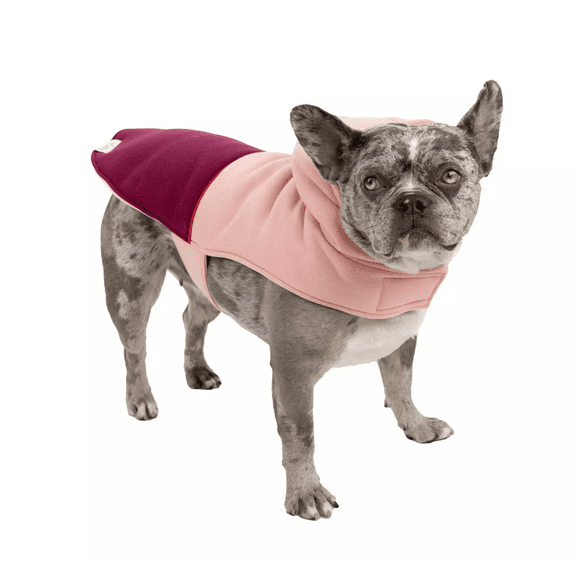 SportPet Color Block Hooded Jacket