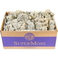 thumbnail image 1 of Preserved Reindeer Moss 3Lb-Natural, 1 of 4