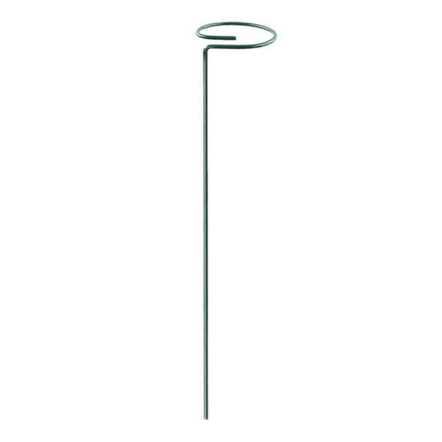 Piquets de Support pour Pivoines Tomate Coréopsis Clips de Jardin en Métal Robustes