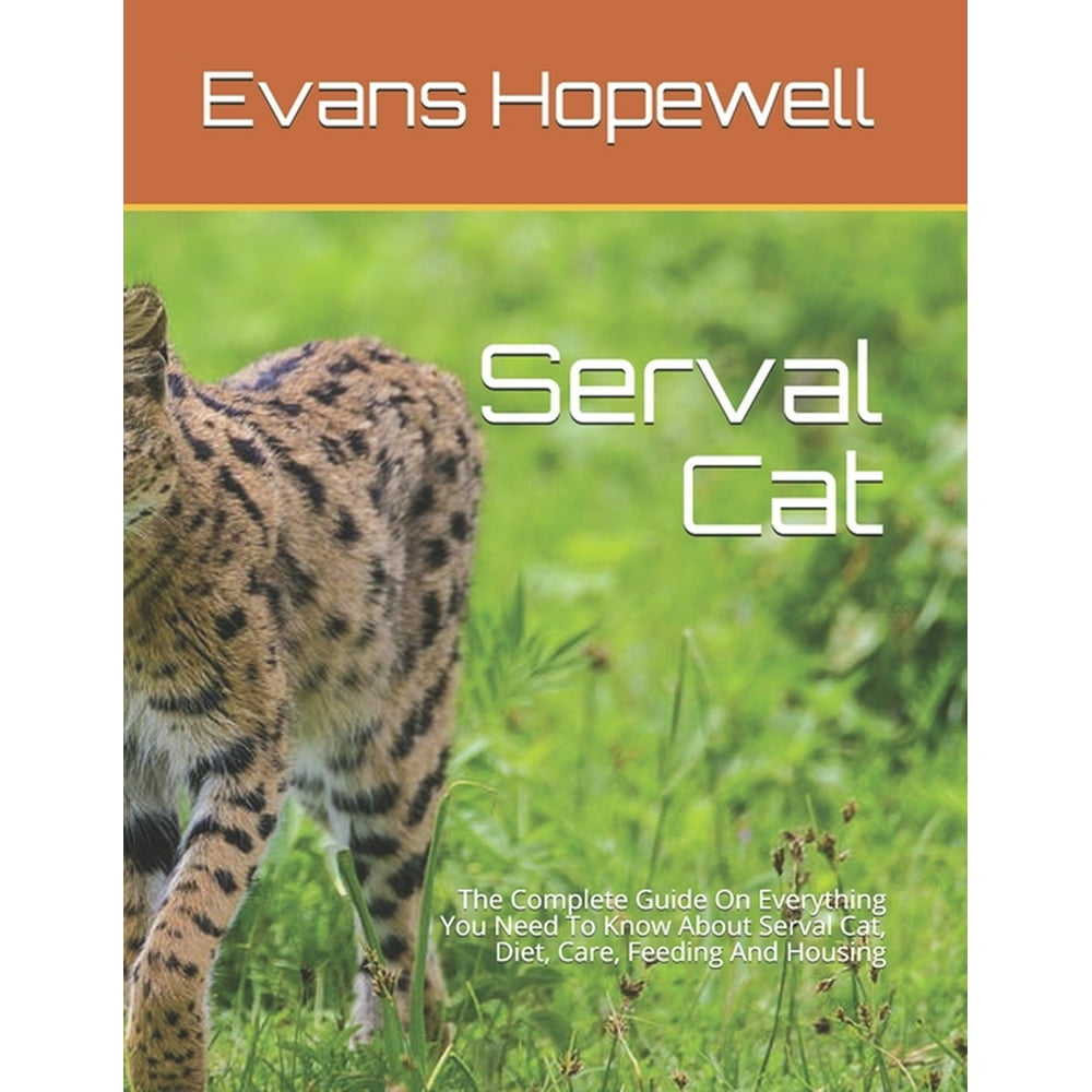 Serval Cat The Complete Guide On Everything You Need To Know About