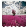thumbnail image 3 of Ambesonne Nature Shower Curtain, Enchanted Oniric Meadow, 69"Wx84"L, Fuchsia Petrol Blue, 3 of 5