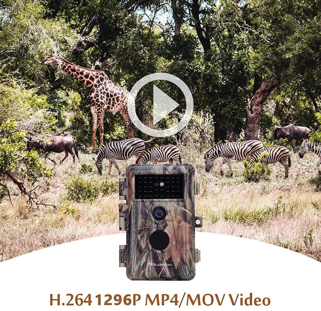 BlazeVideo 2-Pack Game Trail Camera 24MP Full HD 1296P H.264 Video with Night Version for Outdoor Wildlife Deer Hunting with No Glow Infrared Photo and Video Model