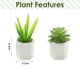 thumbnail image 2 of Macetas grandes multiángulo de simulación de suculentas bonsái, adornos pequeños creativos para interiores, plantación en macetas artificiales, 2 uds., 2 of 5
