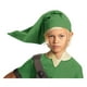 Legend of Zelda Link Hat Accessoire de Costume pour Enfant – image 1 sur 1