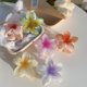 thumbnail image 4 of Pinzas de flores creativas Pinzas para el cabello lindas Pinzas de tiburón Pinzas para el cabello Pinzas para el cabello personalizadas (2 piezas) Botao, 4 of 4
