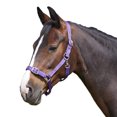 thumbnail image 1 of Bitz - Cabezada de Caballos Everyday Ajustable (Morado), 1 of 2