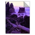 thumbnail image 2 of Dean Uhlinger Patricks Point Twilight, Art Appeelz Removable Wall Art Graphic, 2 of 2
