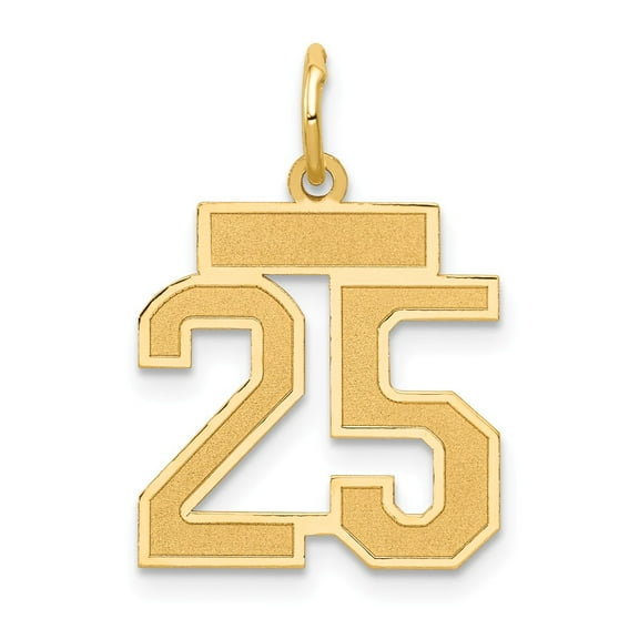 14k Yellow Gold Small Satin Number 25 Charm