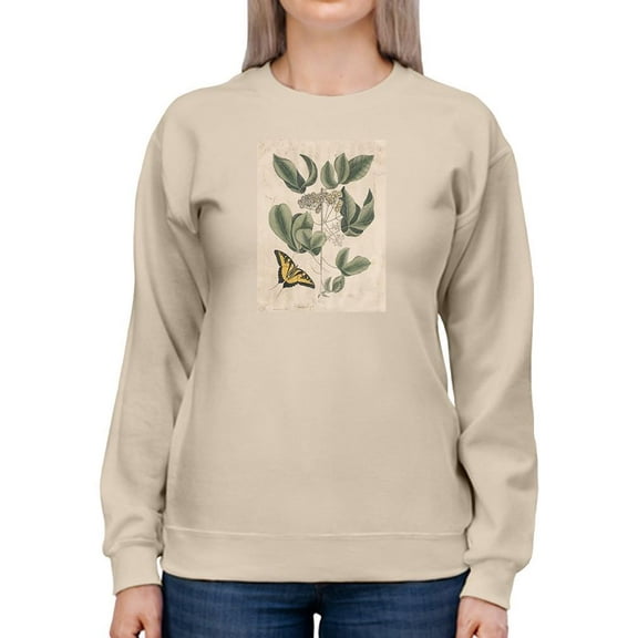 Catesby Butterfly Sweatshirt Women -Mark Catesby Designs, Female x-Large