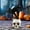 C, variant on Black Cat Festival Decorations - Halloween Ornaments For Home Tabletop