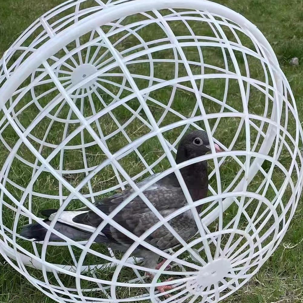 Pet Exercise Ball for Chickens & Pigeons, Mobile Exercise Sphere Coop for Small Animals, 12"/16"/20" Available