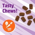 thumbnail image 5 of Pet Naturals Daily Multi Chews for Dogs, Veggie, 150 Count, 5 of 8