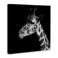 thumbnail image 4 of Stupell Industries Jungle Giraffe Portrait Animals Photography Wrapped Canvas Art Print Wall Art, 17 x 17, 4 of 8