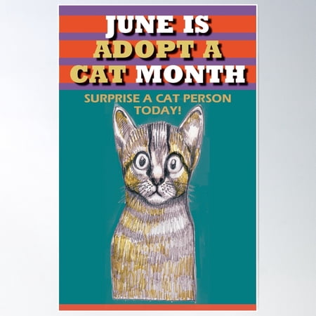 June Is Adopt A Cat Month • Design 2 Poster Wall Art, Modern Wall Decor For Living Room Bedroom, 8x12 UNFRAMED