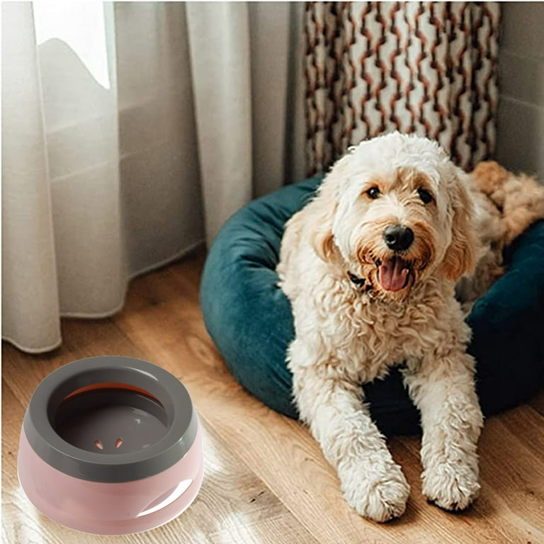 Internet's Best Bone Dog Bowl Set - Double Stainless Steel Pet Food Water  Bowls - No Spill Silicone Stand - Small Pets - Pink