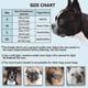 thumbnail image 3 of Short Snout Dog Muzzle,soft Silicone Adjustable Breathable Bulldog Muzzle For French Bulldog Shih Tzu And Pug For Biting Chewing Training, 3 of 4