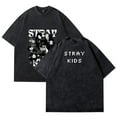 thumbnail image 6 of Stray Kids Merch Cotton Vintage Wash Tee Shirt Crewneck Short Sleeved Graphic t Shirts Style6, 6 of 8