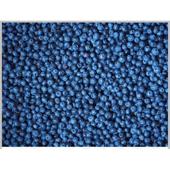 Printed Adhesive Vinyl Blueberries Pattern Glitter Vinyl