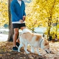 thumbnail image 5 of Cuerda para caminar para perros pequeños y medianos, cuerda de tracción automática retráctil reflectante, correa para perros, cuerda telescópica para caminar, adecuada para perros pequeños y medianos, 5 of 5