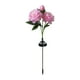 thumbnail image 2 of Decoración del hogar, decoración de habitaciones, luces solares de peonía para exteriores, estacas de flores artificiales, iluminación decorativa impermeable para paisajes, decoración de patio, lámpar, 2 of 6