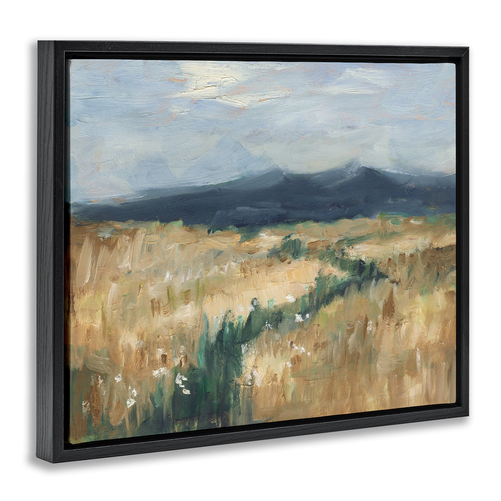 Stupell Industries Mountainous Trail Landscape Landscape Painting Black Floater Framed Art Print Wall Art, 21 x 17