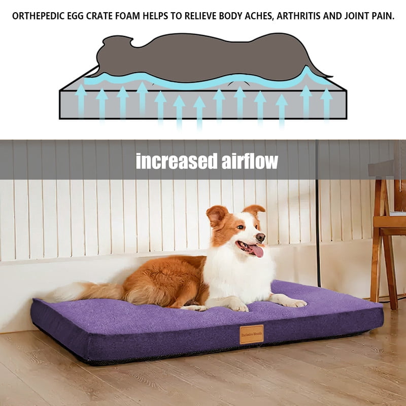 Exclusivo Mezcla Orthopedic Pet Bed for Extra Large Dogs, 48"X30" Purple Dog Beds, Removable Washable Cover