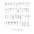 thumbnail image 2 of 80 Sheets of Floral Stickers PET Flower Stickers Card Making Plastic Stickers, 2 of 8