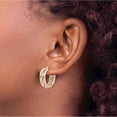 thumbnail image 3 of 14K Tri-Color Polished Hoop Earrings (Width 29.5) (Length 20.5) - Jbsp, 3 of 5