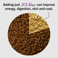 thumbnail image 6 of Stella & Chewy's Freeze-Dried Dinner Morsels for Cats - Chick Chick Chicken Recipe - 18 Ounce Bag, 6 of 11