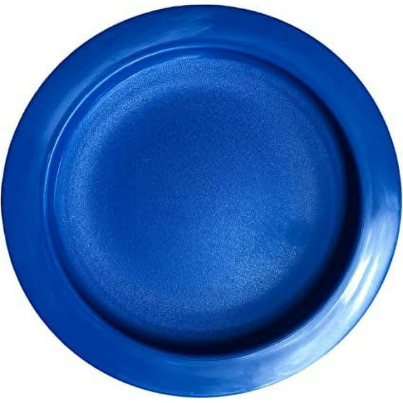 Plate with Curved Inner Lip, 9 Inch Diameter, Blue